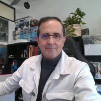 FERNANDO PALOMAR SANZ