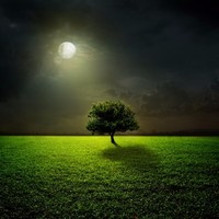 Salah aldeen Salah aldeen