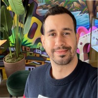 Flavio Coelho de Oliveira Junior
