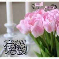 Gehan Hassan