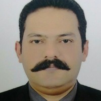 Mian Naveed Aslam