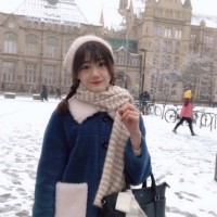 Yujia He