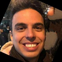 Vinicius Bridi