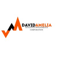 David Amelia