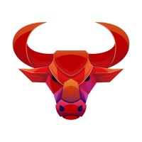 The Bulls FinServ