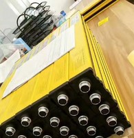 蔡红伟