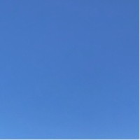 Nor Shawani Mohamad Rozali