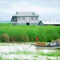 Md.Habibur Rahman Habib