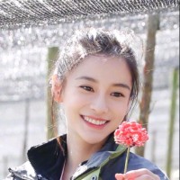 何娇娇