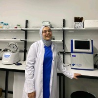 Ayşegül Yüksek