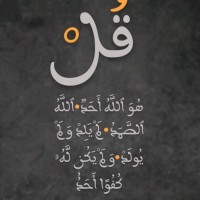 Mahmoud Aboamer