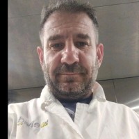 George Triantafillou