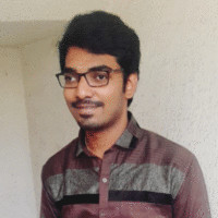 Hudson Light Johnson