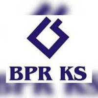 Pt. Bpr Karyajatnika Sadaya