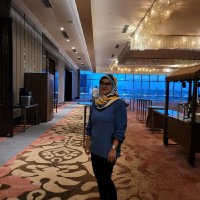 Aerizuana Sahamin