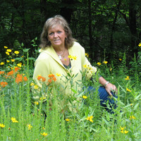 Jeanine Kiser
