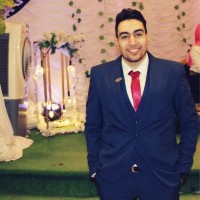 Alaa Hany