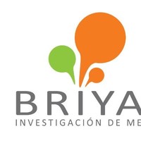 BRIYAM INVESTIGACION DE MERCADOS