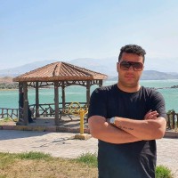 حمیدرضا پارسا