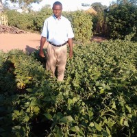 Jerevas Tembo