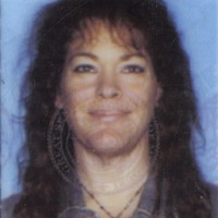 Cindy Stephens