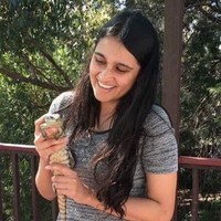 Hamsini Bijlani
