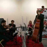 Marko Barbieri