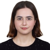 Elif Sayin