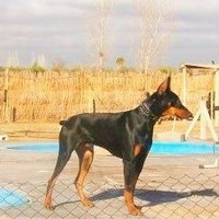 Jose Tonon Teruel