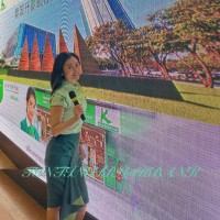 Lisa Li-Tintinger