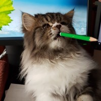 Oscar Katze