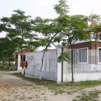 Modhu Haji River View