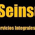 SEINSUR SL