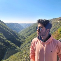 Piyush Vaish