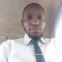 Blessing Ogunwale