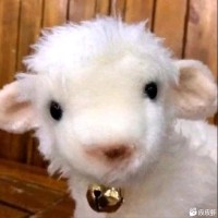 李德昊