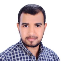Mahmoud Rashwan