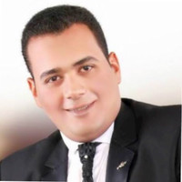 Mohamed Nagy, Internal Audit And Accounting