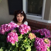 Ivy Fang