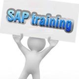Sap Mm Trainer