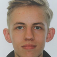 Bram Van Der Leest