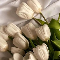 Asma Kh