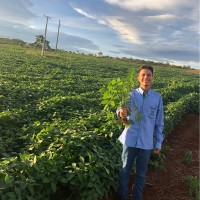 João Victor Pinho de Almeida