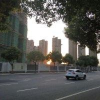 赵晓委