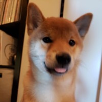 T M