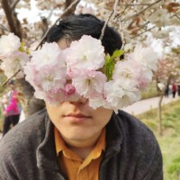 胡子昌
