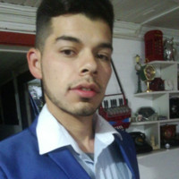 Diego Rodrigo Castro Balladares