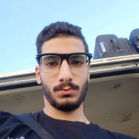 Hamza Alaa