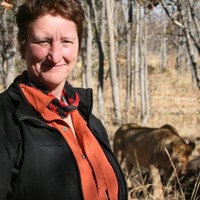 Anke van der Zee