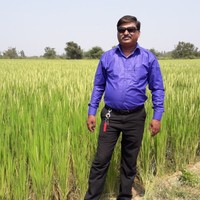 Shashidhar Kulkarni